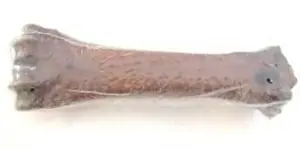 חנויות חיות