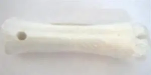 חנויות חיות