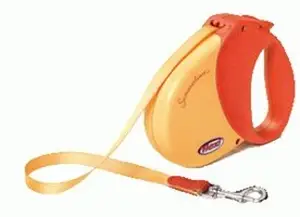 חנויות חיות