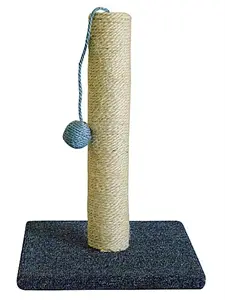 חנות חיות נס ציונה